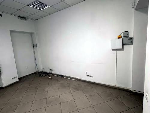 комерційна за адресою Пантелеймона Куліша вул., 24