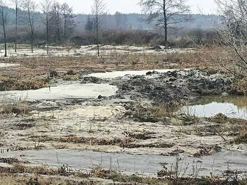 участок по адресу с. Процев, 