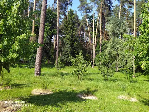 ділянка за адресою Соснова, 11