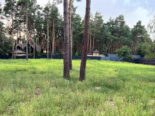 ділянка за адресою Сосновий Бір вул.