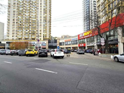 комерційна за адресою Голосіївський просп. (40-річчя Жовтня), 58-А