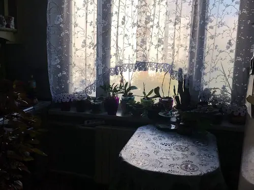 кімната за адресою Оболонський просп., 16-е
