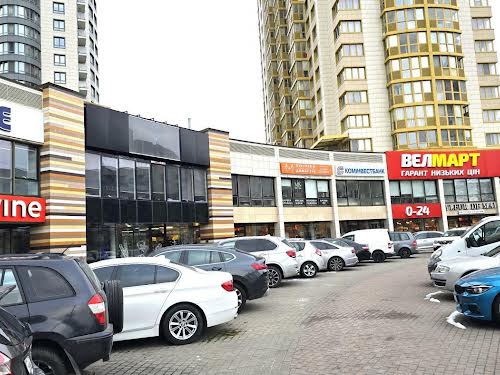 комерційна за адресою Голосіївський просп. (40-річчя Жовтня), 58-А