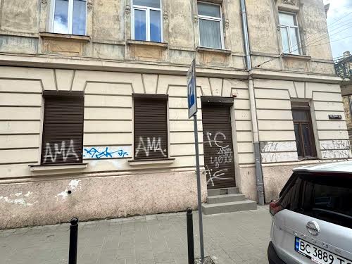 комерційна за адресою Пантелеймона Куліша вул., 24