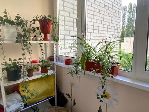 квартира за адресою Новопирогівська вул., 19