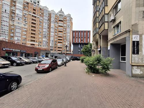 комерційна за адресою Левка Лук'яненка вул. (Маршала Тимошенка), 19