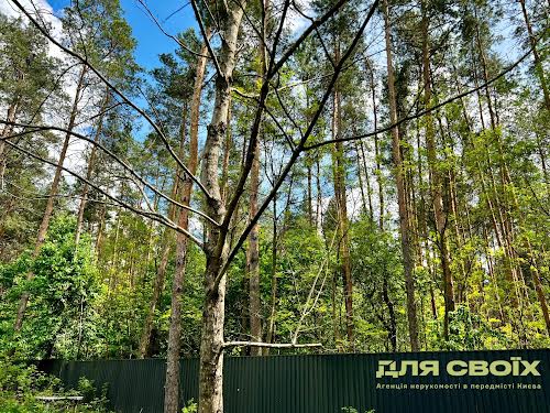 ділянка за адресою Садова, 45Б