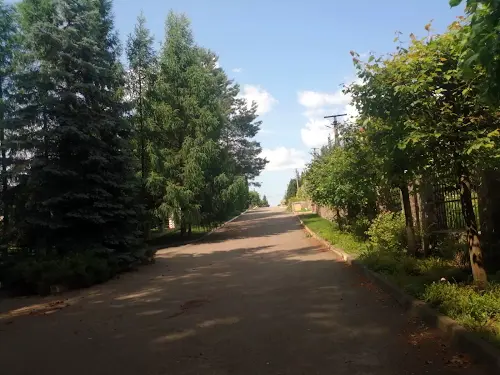 ділянка за адресою Лісова