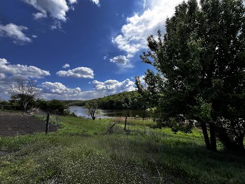 дом по адресу с. Томашовка, Лесі Украінки, 41