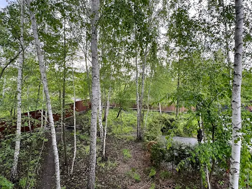 будинок за адресою Ірпінь, Калацюка, 4а