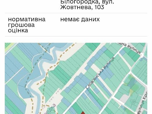 участок по адресу с. Белогородка, Октябрьская ул., 103