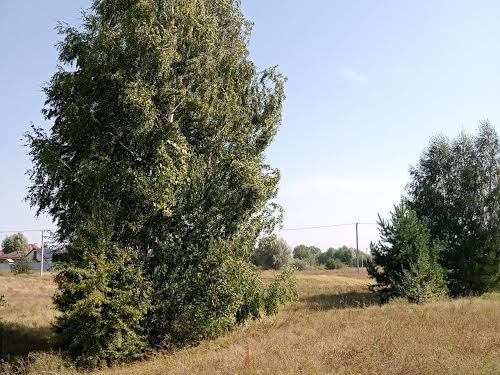 ділянка за адресою Проектна