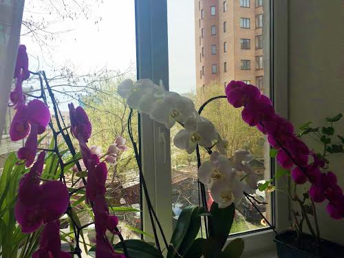 квартира за адресою Саксаганського вул., 41В