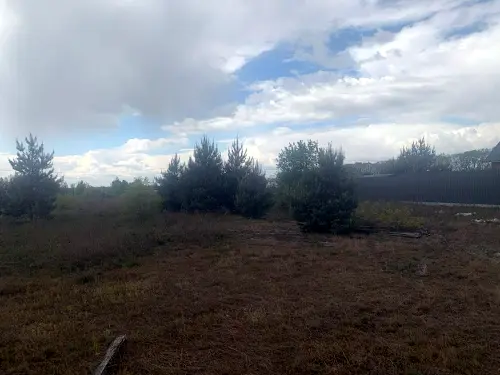 ділянка за адресою с. Петрушки, Соснова, 15