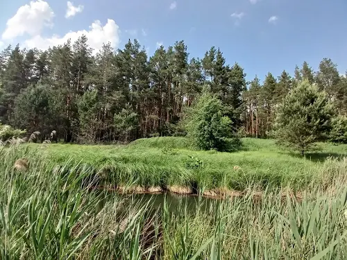 ділянка за адресою Ватутіна вул.