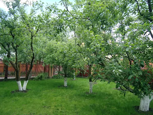 будинок за адресою Богатырская, 2