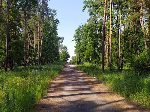 ділянка за адресою с. Стоянка, Лісова