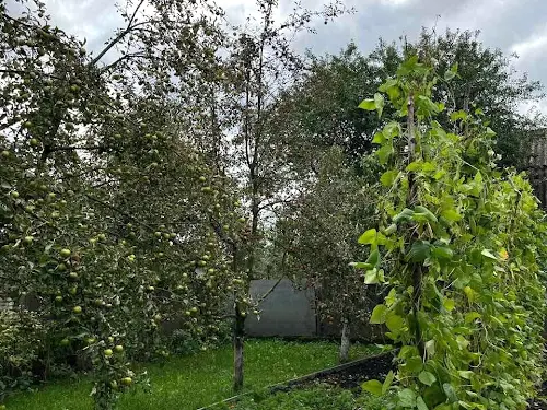 дом по адресу Топольна