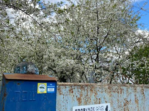 ділянка за адресою провулок Садовий, 1