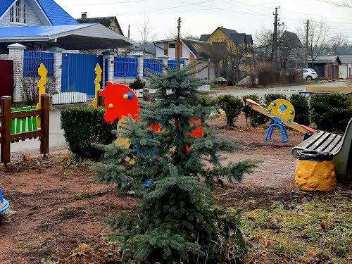дом по адресу Мрія