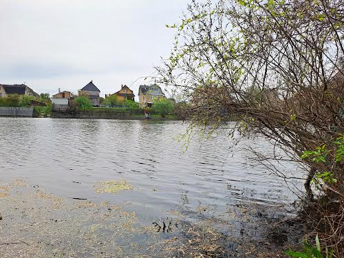 дом по адресу Киев, Центральная ул.
