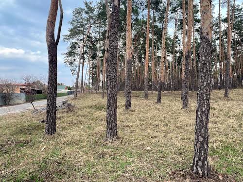 будинок за адресою Ліснича вул.