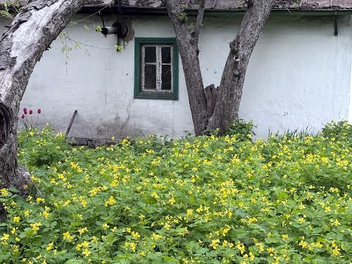 будинок за адресою с. Рожівка, Садове товариство Академік, 3-Лінія, 103