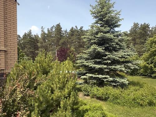 будинок за адресою с. Віта-поштова, Лесі Українки вул., 77