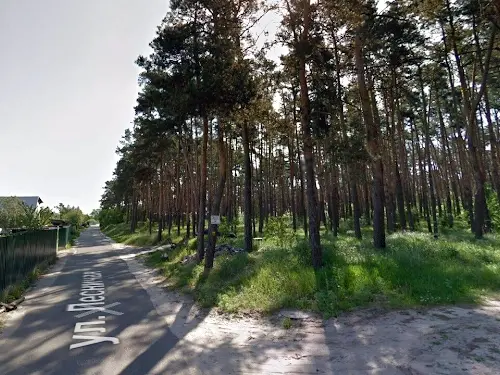 будинок за адресою Ліснича вул.