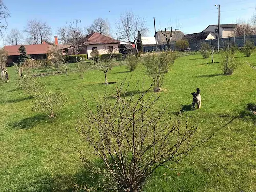 дом по адресу Братів Жолдаків