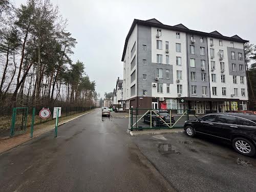 квартира по адресу Чайковського ул., 2