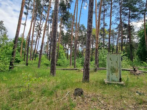 ділянка за адресою Вітряного
