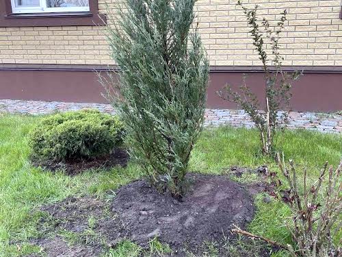 будинок за адресою с. Катюжанка, Волошкова, 27