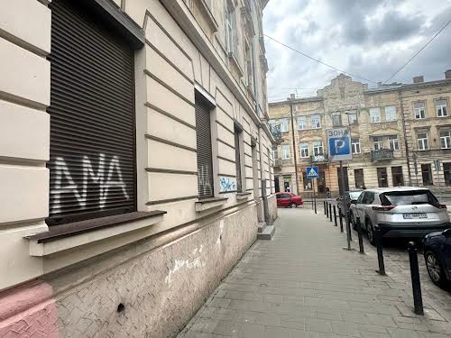 комерційна за адресою Пантелеймона Куліша вул., 24