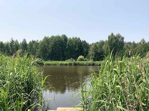 будинок за адресою Незалежності, 6