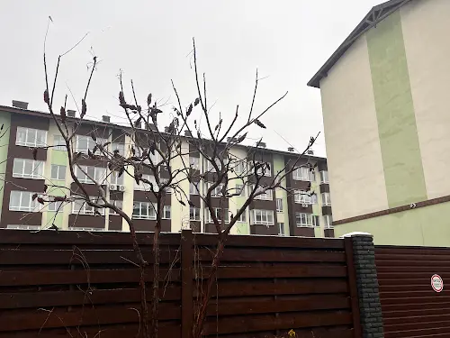квартира за адресою Грушева вул., 4