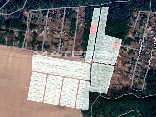 будинок за адресою Світла