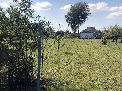 дом по адресу Переяслав, Центральна