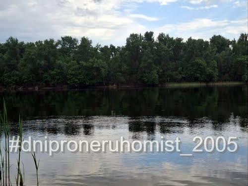 дом по адресу Придніпровська, 113