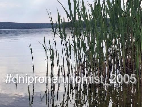 дом по адресу Придніпровська, 113