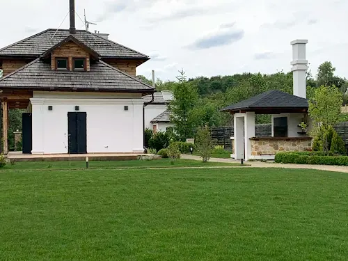 будинок за адресою с. Великі Дмитровичі, лісова