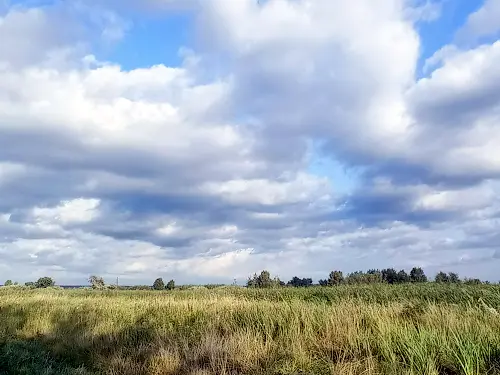 дом по адресу садова 53а, 170