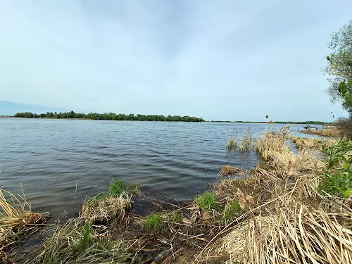 дом по адресу Киев, Центральная ул.