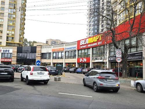 комерційна за адресою Голосіївський просп. (40-річчя Жовтня), 58-А