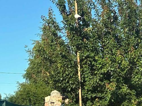 будинок за адресою Незалежності, 6