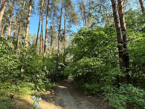 квартира за адресою Конча-Заспинська вул. (Генерала Матикіна), 16
