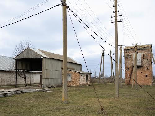 комерційна за адресою с. Фастівець, Шевченка, 1 