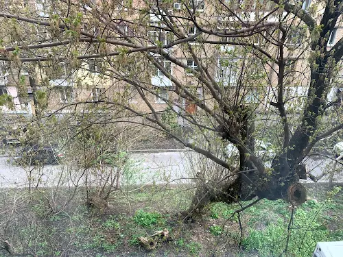 квартира за адресою Академіка Богомольця вул., 8-А
