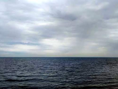 будинок за адресою с. Толокунь, Київська