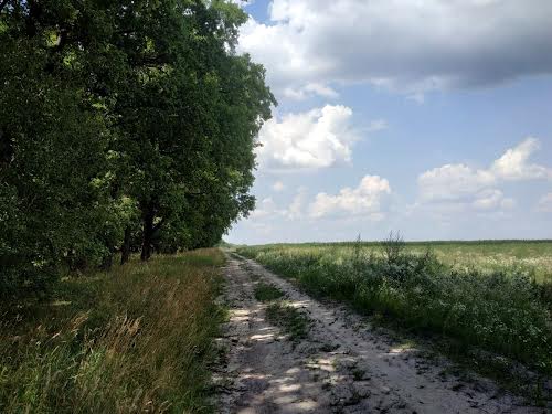 участок по адресу с. Колонщина, Медова
